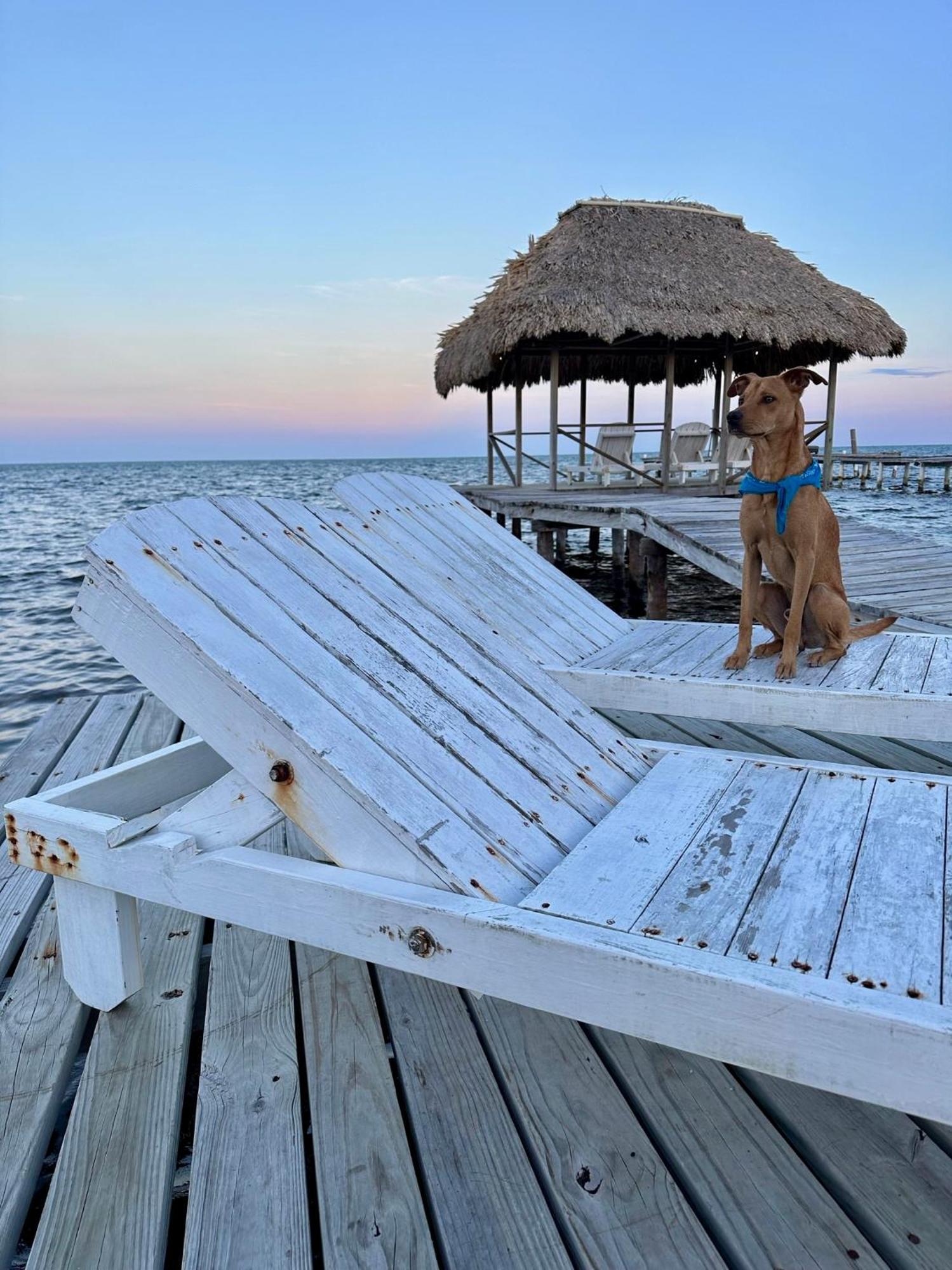 Barefoot Beach Belize Caye Caulker Dış mekan fotoğraf